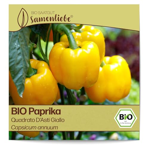 Samenliebe BIO Paprika Samen Quadrato D'Asti Giallo süße italienische Paprika Blockpaprika gelb 10 Samen samenfestes Gemüse Saatgut für Gewächshaus Freiland und Balkon BIO Gemüsesamen von Samenliebe