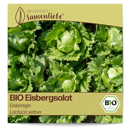 Samenliebe BIO Eisbergsalat Samen Eiskönigin Eissalat Salat grün 500 Samen samenfestes Gemüse Saatgut für Gewächshaus Freiland und Balkon BIO Gemüsesamen von Samenliebe