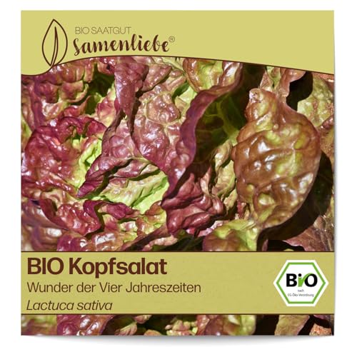 Samenliebe BIO Kopfsalat Samen alte Sorte Wunder der Vier Jahreszeiten aromatischer Blattsalat Salat rot grün 500 Samen samenfestes Gemüse Saatgut für Gewächshaus Freiland und Balkon BIO Gemüsesamen von Samenliebe