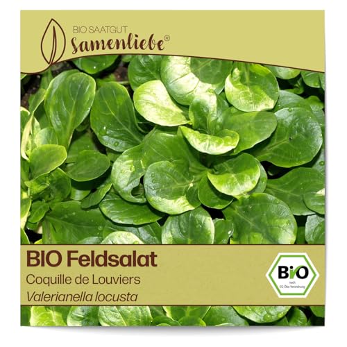 Samenliebe BIO Feldsalat Samen Coquille de Louviers nussiger Winterfeldsalat knackiger Salat grün 1,5g samenfestes Gemüse Saatgut für Gewächshaus Freiland und Balkon BIO Gemüsesamen winterhart von Samenliebe