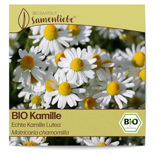 Samenliebe BIO Kamille Samen alte Sorte Echte Kamille Lutea Wildkräuter Bienenpflanze weiß 3000 Samen samenfestes Kräuter Saatgut für Küche indoor und Balkon Garten BIO Kräutersamen mehrjährig von Samenliebe