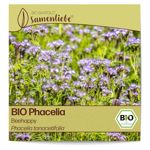 Samenliebe BIO Phacelia Samen Blumensamen Beehappy 3000 Samen Blumen Samen Garten Phacelia Saatgut samenfeste einjährig Pflanzen für Garten und Freiland von Samenliebe