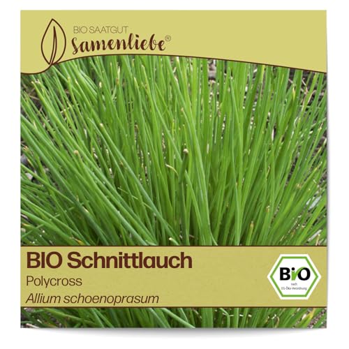 Samenliebe BIO Schnittlauch Samen Polycross Küchenkräuter Gartenkräuter grün 1g samenfestes Kräuter Saatgut für Küche indoor und Balkon Garten BIO Kräutersamen mehrjährig und winterhart von Samenliebe