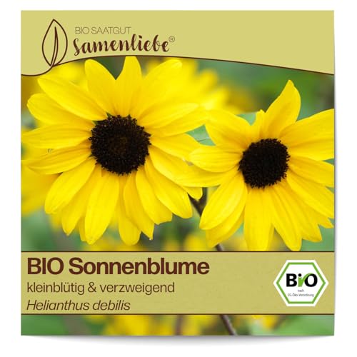 Samenliebe BIO Sonnenblumen Samen kleinblütig & verzweigend Bienenweide 80 Samen samenfestes Blumen Saatgut für Gewächshaus Freiland und Balkon BIO Blumensamen von Samenliebe