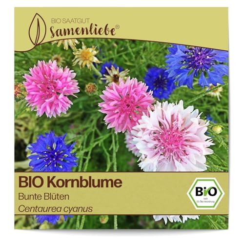 Samenliebe BIO Kornblume Samen Bunte Blüten Schnittblume Bienenweide 200 Samen samenfestes Blumen Saatgut für Gewächshaus Freiland und Balkon BIO Blumensamen mehrjährig von Samenliebe