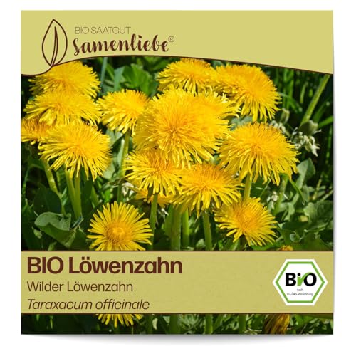 Samenliebe BIO Löwenzahn Samen Wilder Löwenzahn würzige Wildkräuter Salatkraut gelb 800 Samen samenfestes Kräuter Saatgut für Küche indoor und Balkon Garten BIO Kräutersamen mehrjährig und winterhart von Samenliebe