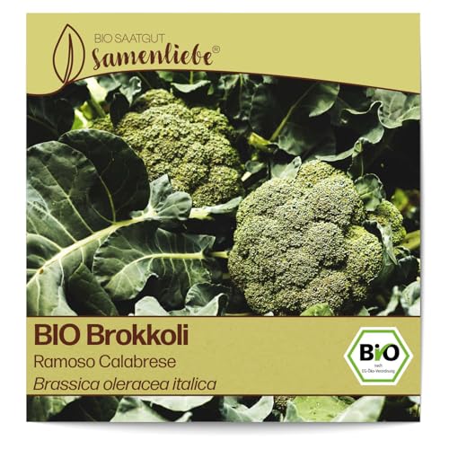 Samenliebe BIO Brokkoli Samen alte Sorte Ramoso Calabrese italienischer Broccoli frühreifender Kohl grün 200 Samen samenfestes Gemüse Saatgut für Gewächshaus und Freiland BIO Gemüsesamen winterhart von Samenliebe