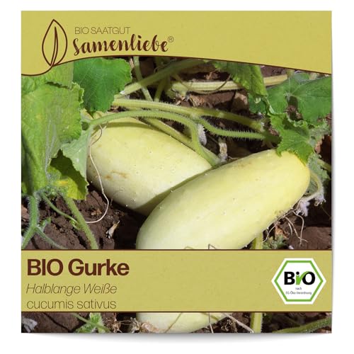 Samenliebe BIO Gurken Samen Halblange Weiße Salatgurke weiß 10 Samen samenfestes Gemüse Saatgut für Gewächshaus Freiland und Balkon BIO Gemüsesamen von Samenliebe