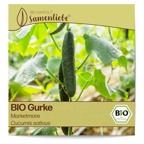 Samenliebe BIO Gurken Samen alte Sorte Marketmore Freilandgurke Salatgurke grün 10 Samen samenfestes Gemüse Saatgut für Gewächshaus Freiland und Balkon BIO Gemüsesamen von Samenliebe