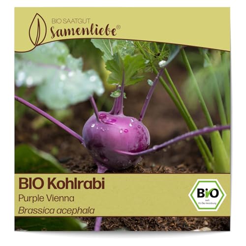 Samenliebe BIO Kohlrabi Samen alte Sorte Purple Vienna leicht nussiger Winterkohlrabi Winterkohl blau lila 200 Samen samenfestes Gemüse Saatgut für Gewächshaus Freiland und Balkon BIO Gemüsesamen von Samenliebe