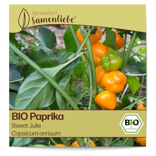 Samenliebe BIO Paprika Samen alte Sorte Sweet Julie süße Snackpaprika Blockpaprika orange 10 Samen samenfestes Gemüse Saatgut für Gewächshaus Freiland und Balkon BIO Gemüsesamen von Samenliebe