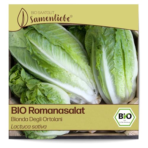 Samenliebe BIO Romanasalat Samen Bionda Degli Ortolani knackiger Romasalat großer Salat grün 500 Samen samenfestes Gemüse Saatgut für Gewächshaus Freiland und Balkon BIO Gemüsesamen von Samenliebe