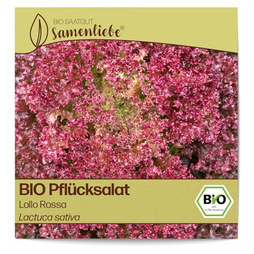 Samenliebe BIO Pflücksalat Samen alte Sorte Lollo Rossa nussiger Lollosalat gekrauster Salat rot 500 Samen samenfestes Gemüse Saatgut für Gewächshaus Freiland und Balkon BIO Gemüsesamen von Samenliebe