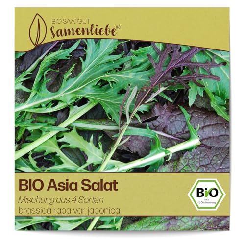 Samenliebe BIO Asia Salat Samen Mischung aus 4 Sorten 1g samenfestes Gemüse Saatgut für Gewächshaus Freiland und Balkon BIO Gemüsesamen winterhart von Samenliebe