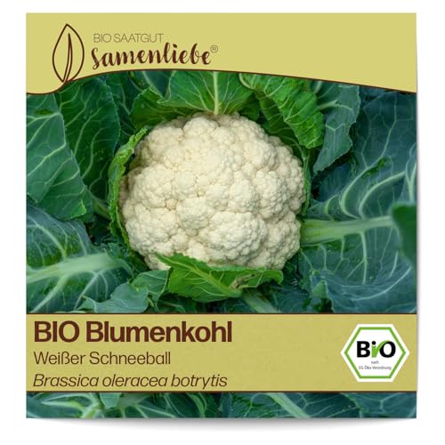 Samenliebe BIO Blumenkohl Samen alte Sorte Weißer Schneeball Winterblumenkohl weiß 200 Samen samenfestes Gemüse Saatgut für Gewächshaus Freiland und Balkon BIO Gemüsesamen von Samenliebe