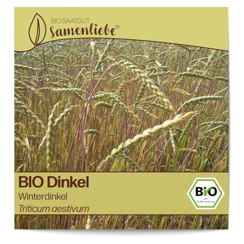 Samenliebe BIO Dinkel Samen Blumensamen Winterdinkel 200 Samen Blumen Samen Garten Dinkel Saatgut samenfeste einjährig Pflanzen für Garten und Freiland von Samenliebe