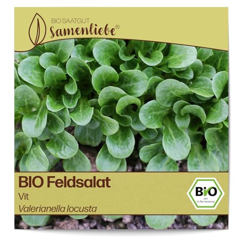 Samenliebe BIO Feldsalat Samen alte Sorte Vit grün 1,5g samenfestes Gemüse Saatgut für Gewächshaus Freiland und Balkon BIO Gemüsesamen winterhart von Samenliebe