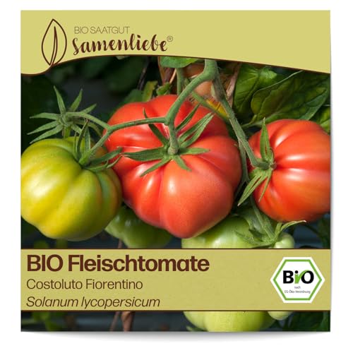 Samenliebe BIO Fleischtomaten Samen alte Sorte Costoluto Fiorentino süße Ochsenherztomate italienische Tomate 10 Samen samenfestes Gemüse Saatgut für Gewächshaus Freiland und Balkon BIO Gemüsesamen von Samenliebe