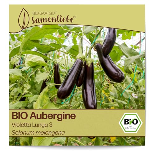 Samenliebe BIO Auberginen Samen alte Sorte Violetta Lunga 3 Eierfrucht lange Melanzani violett schwarz 10 Samen samenfestes Gemüse Saatgut für Gewächshaus Freiland und Balkon BIO Gemüsesamen von Samenliebe