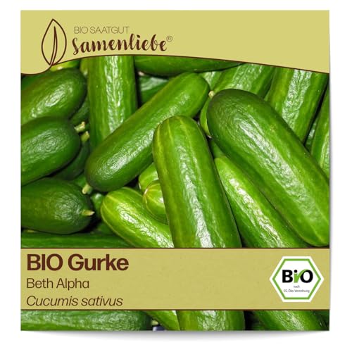 Samenliebe BIO Gurken Samen alte Sorte Beth Alpha Salatgurke Snackgurke grün 10 Samen samenfestes Gemüse Saatgut für Gewächshaus Freiland und Balkon BIO Gemüsesamen von Samenliebe