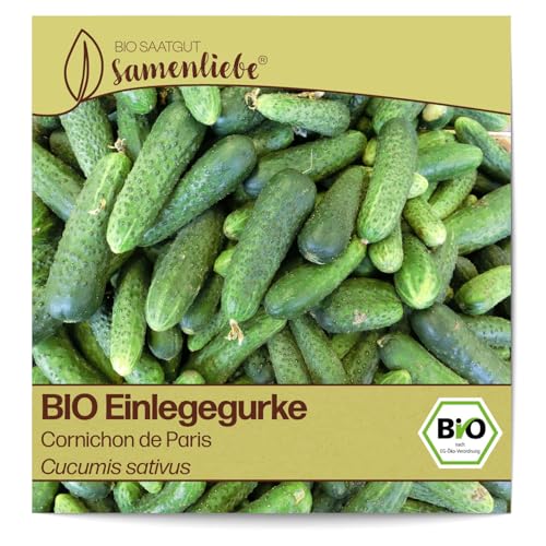 Samenliebe BIO Einlegegurken Samen alte Sorte Cornichon de Paris Snackgurke Gurke grün 10 Samen samenfestes Gemüse Saatgut für Gewächshaus Freiland und Balkon BIO Gemüsesamen von Samenliebe