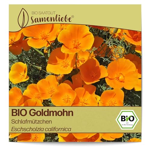 Samenliebe BIO Goldmohn Samen alte Sorte Schlafmützchen 200 Samen samenfestes Blumen Saatgut für Garten Freiland und Balkon BIO Blumensamen von Samenliebe