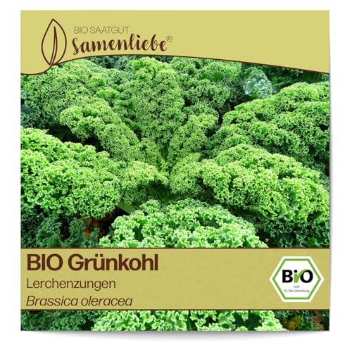 Samenliebe BIO Grünkohl Samen Gemüsesamen alte Sorte Lerchenzungen 200 Samen Gemüse Samen Garten Grünkohl Saatgut samenfeste einjährig Pflanzen für Gewächshaus, Garten und Balkon von Samenliebe