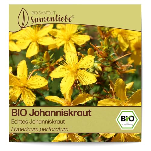 Samenliebe BIO Johanniskraut Samen alte Sorte Echtes Johanniskraut - gelbe Blüten 1500 Samen samenfestes Kräuter Saatgut für Küche indoor und Balkon Garten BIO Kräutersamen mehrjährig von Samenliebe