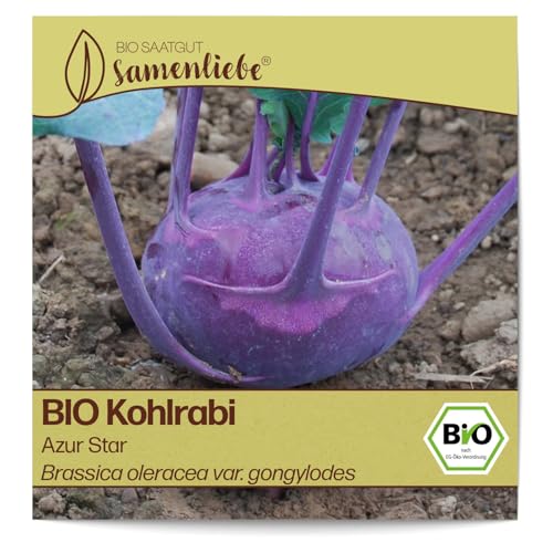 Samenliebe BIO Kohlrabi Samen Azur Star fein süßer Freilandkohlrabi Kohl blau violett 100 Samen samenfestes Gemüse Saatgut für Gewächshaus Freiland und Balkon BIO Gemüsesamen von Samenliebe