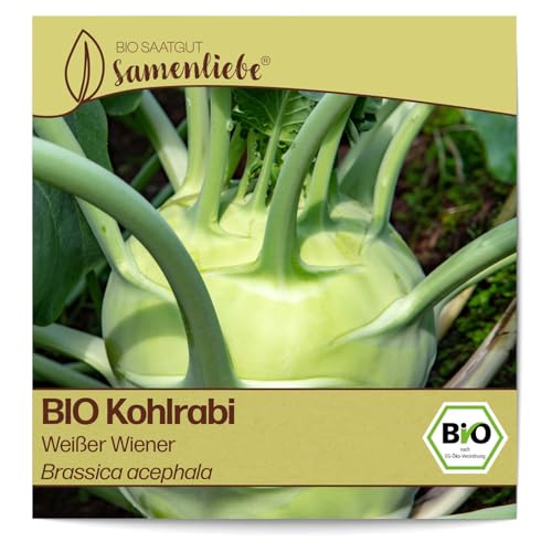 Samenliebe BIO Kohlrabi Samen alte Sorte Weißer Wiener 200 Samen samenfestes Gemüse Saatgut für Gewächshaus Freiland und Balkon BIO Gemüsesamen von Samenliebe