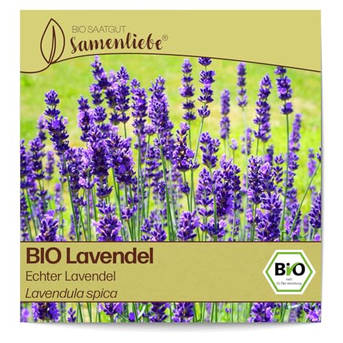 Samenliebe BIO Lavendel Samen alte Sorte Echter Lavendel Wildkraut Bienenpflanze 300 Samen samenfestes Kräuter Saatgut für Küche indoor und Balkon Garten BIO Kräutersamen mehrjährig und winterhart Samenliebe BIO Lavendel Samen alte Sorte Echter Lavendel Wildkraut Bienenpflanze 300 Samen samenfestes Kräuter Saatgut für Küche indoor und Balkon Garten BIO Kräutersamen mehrjährig und winterhart von Samenliebe