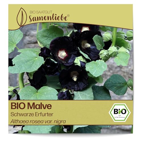 Samenliebe BIO Malve Samen Schwarze Erfurter 80 Samen samenfestes Blumen Saatgut für Garten Freiland und Balkon BIO Blumensamen von Samenliebe