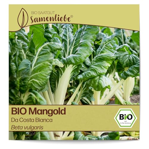 Samenliebe BIO Mangold Samen Da Costa Bianca Stielmangold Krautstiel grün weiß 200 Samen samenfestes Gemüse Saatgut für Gewächshaus Freiland und Balkon BIO Gemüsesamen von Samenliebe