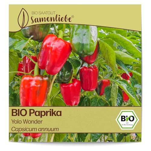 Samenliebe BIO Paprika Samen Gemüsesamen Yolo Wonder 10 Samen Gemüse Samen Garten Paprika Saatgut samenfeste einjährig Pflanzen für Gewächshaus, Garten und Balkon von Samenliebe