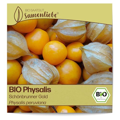 Samenliebe BIO Physalis Samen Schönbrunner Gold 10 Samen samenfestes Gemüse Saatgut für Garten Freiland und Balkon BIO Gemüsesamen Samenliebe BIO Physalis Samen Schönbrunner Gold 10 Samen samenfestes Gemüse Saatgut für Garten Freiland und Balkon BIO Gemüsesamen von Samenliebe