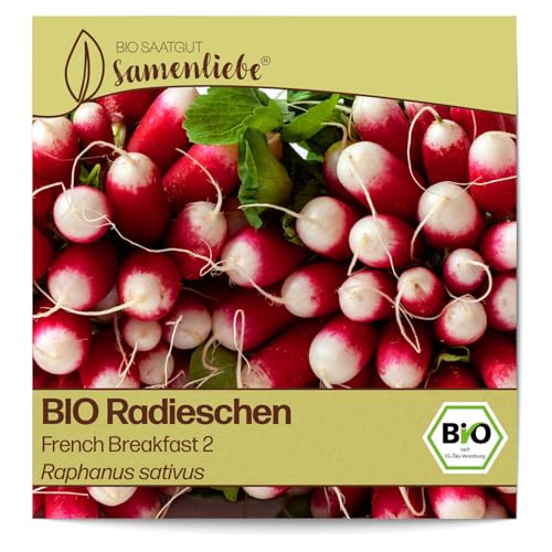 Samenliebe BIO Radieschen Samen Gemüsesamen alte Sorte French Breakfast 2 mit 200 Gemüse Samen samenfestes Radieschen Saatgut für Gewächshaus, Garten und Balkon von Samenliebe