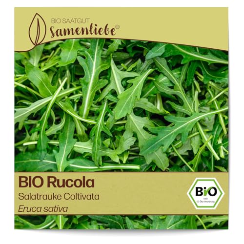 Samenliebe BIO Rauke Samen Salatrauke Coltivata mild nussiges Rucola Salatkraut grün 300 Samen samenfestes Kräuter Saatgut für Gewächshaus Freiland und Balkon BIO Kräutersamen winterhart von Samenliebe