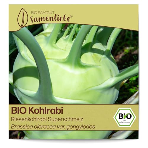 Samenliebe BIO Riesenkohlrabi Samen Gemüsesamen Superschmelz 150 Samen Gemüse Samen Garten Riesenkohlrabi Saatgut samenfeste einjährig Pflanzen für Gewächshaus und Freiland von Samenliebe