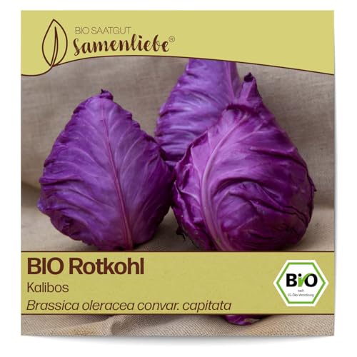 Samenliebe BIO Rotkohl Samen alte Sorte Kalibos mild-süßlicher Spitzkohl spitzer Kohl rot 100 Samen samenfestes Gemüse Saatgut für Gewächshaus Freiland und Balkon BIO Gemüsesamen von Samenliebe