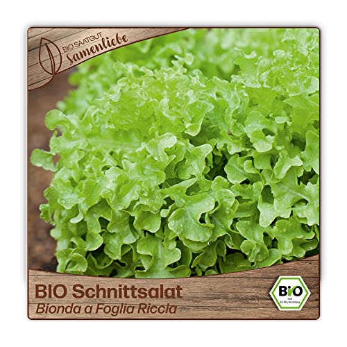 Samenliebe BIO Schnittsalat Samen Bionda a Foglia Riccia Wintersalat Salat grün 500 Samen samenfestes Gemüse Saatgut für Gewächshaus Freiland und Balkon BIO Gemüsesamen von Samenliebe