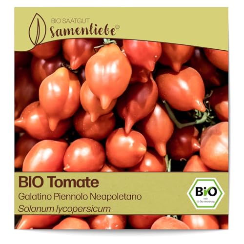 Samenliebe BIO Tomaten Samen alte Sorte Galatino Piennolo Neapoletano süße Kirschtomate Cherrytomate rot 10 Samen samenfestes Gemüse Saatgut für Gewächshaus Freiland und Balkon BIO Gemüsesamen von Samenliebe