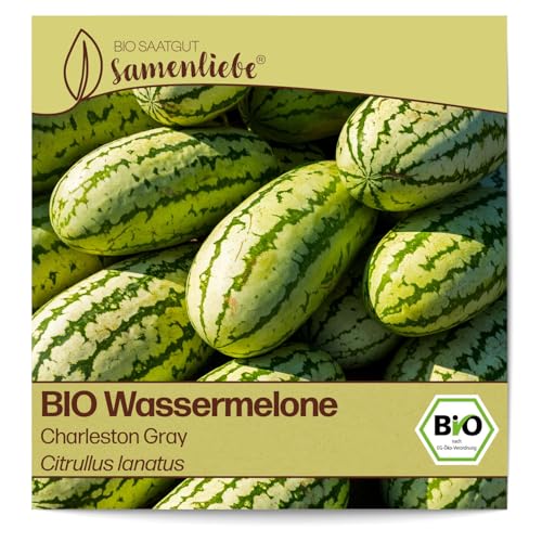 Samenliebe BIO Wassermelonen Samen Charleston Gray süße Riesenmelone lange Melone rot 10 Samen samenfestes Gemüse Saatgut für Gewächshaus Freiland und Balkon BIO Gemüsesamen von Samenliebe