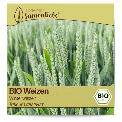 Samenliebe BIO Weizen Samen Blumensamen Winterweizen 200 Samen Blumen Samen Garten Weizen Saatgut samenfeste einjährig Pflanzen für Garten und Freiland von Samenliebe