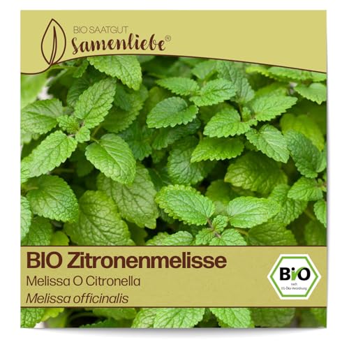 Samenliebe BIO Zitronenmelisse Samen alte Sorte Melissa O Citronella Grün 1000 Samen samenfestes Kräuter Saatgut für Küche indoor und Balkon Garten BIO Kräutersamen mehrjährig und winterhart von Samenliebe