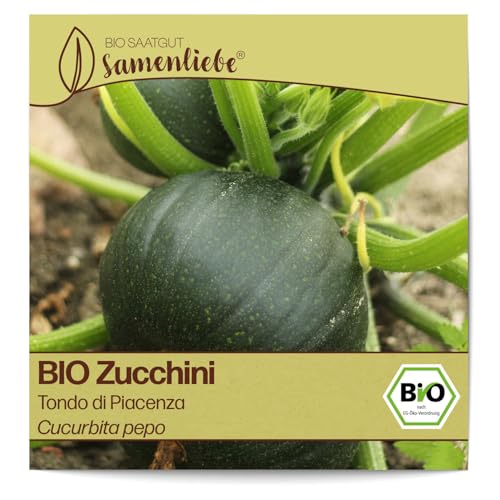 Samenliebe BIO Zucchini Samen alte Sorte Tondo di Piacenza italienische Zucchini runde baby Zucchini 10 Samen samenfestes Gemüse Saatgut für Gewächshaus Freiland und Balkon BIO Gemüsesamen von Samenliebe