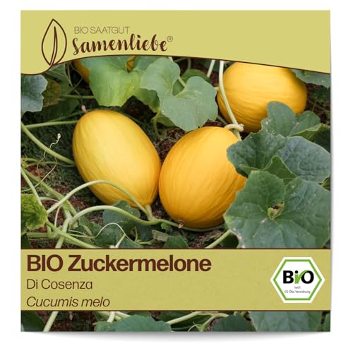 Samenliebe BIO Zuckermelonen Samen Di Cosenza süße Honigmelone Melone gelb 10 Samen samenfestes Gemüse Saatgut für Gewächshaus Freiland und Balkon BIO Gemüsesamen von Samenliebe