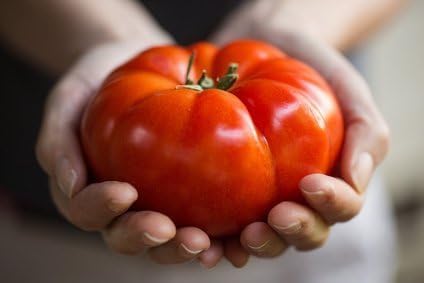 Tomatensamen "Red Juicy Giant" / 50 Samen / Riesentomate/Gemüsesamen / Autosark von Samenquelle.de