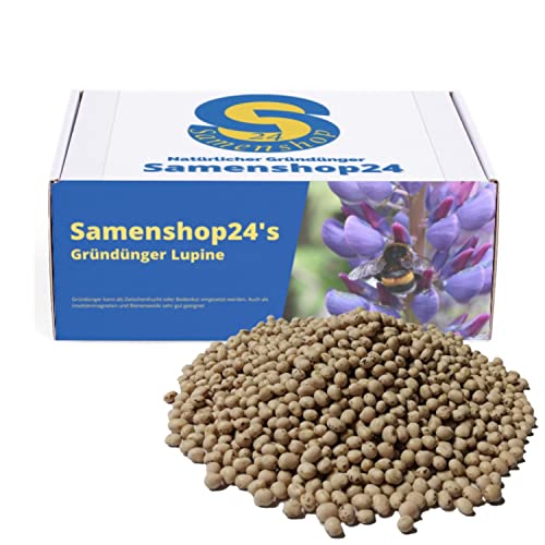 Dünge-Lupinen blau 2,5kg Gründünger Bodenkur Zwischenfrucht Samenshop24® von Samenshop 24