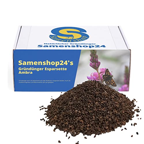 Samenshop24® Esparsette Ambra, Gründünger Bodenkur Zwischenfrucht, Insektenmagnet, Nektarspender für Nützlinge von Samenshop 24