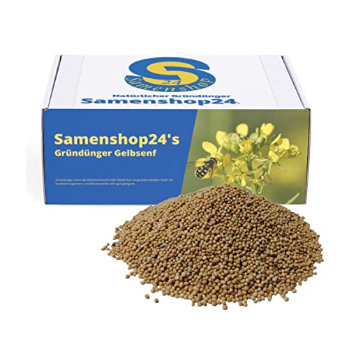 Samenshop24® Gelbsenf, Inhalt: 10kg für ca. 2000m², schnellwüchsig, starke Bodendurchwurzelung, Nahrungsquelle für Nützlinge (Bienen & Falter), Bodenkur & Gründünger, Premium Saatgut von Samenshop 24